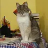 Отзыв от Венера Новикова